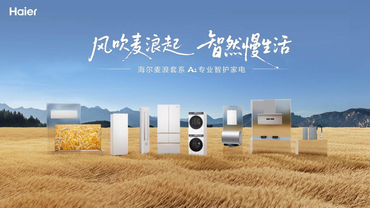 海尔智家年货节启动，携新国补硬核宠粉(图2)