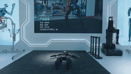 WRC2025 上的“颠覆者样本”：生而成熟的鹿明机器人(图3)