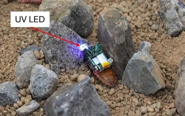 机器人蟑螂现在可以用紫外线护目镜来操控(图3)