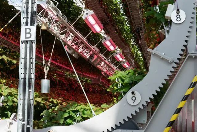 1000磅重的轮子和机器人正在种植戴森草莓(图2)