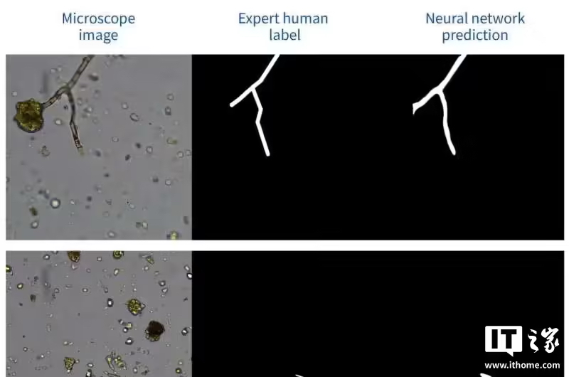 AI 赋能传统显微镜，美研团队研发低成本土壤真菌检测系统(图1)