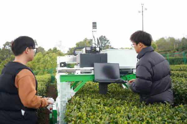 重庆邮电大学研发采茶机器人，2秒摘一叶，精准高效解行业之痛(图2)