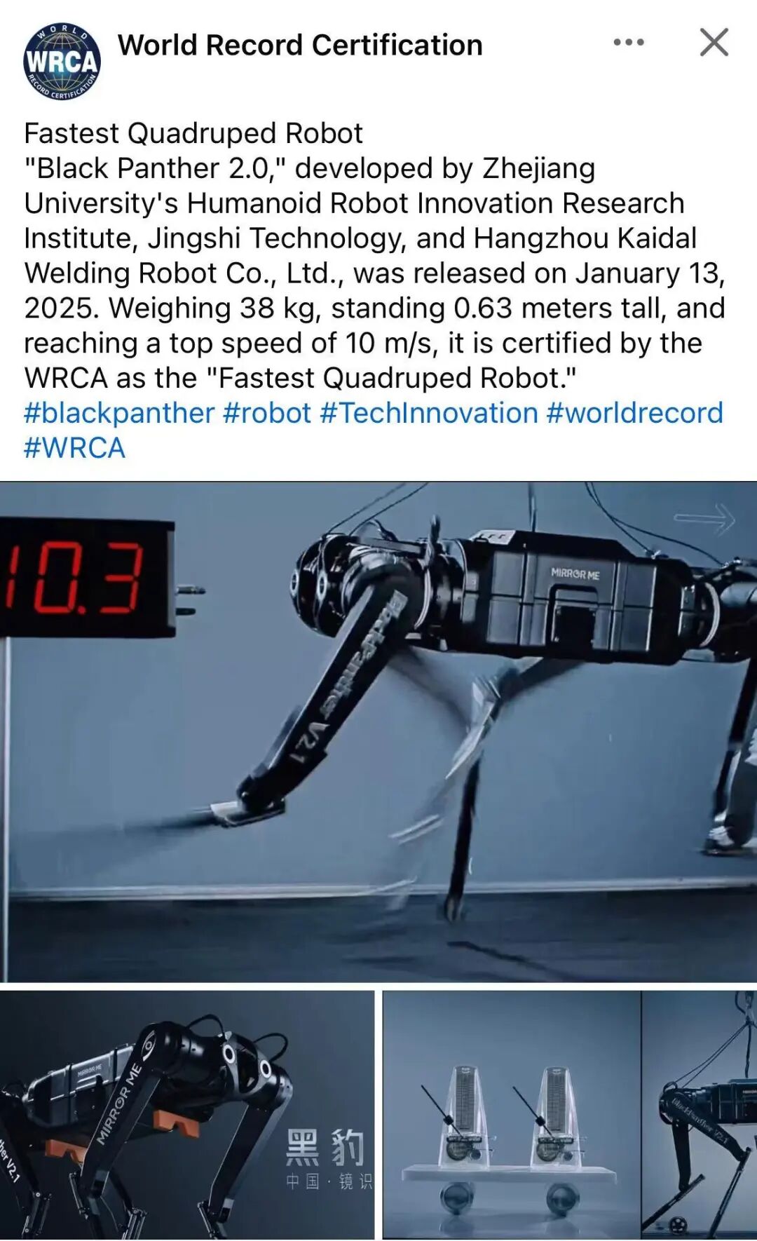 10米/秒！中国造出"世界最快四足机器人"，黑豹2.0刷新世界纪录！(图1)