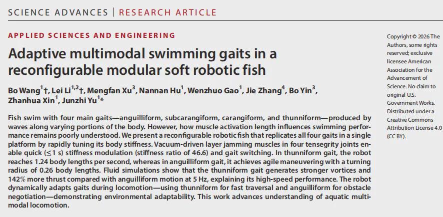  SA重磅！北大机器智能实验室这条机器鱼会变身，0.5秒从鳗鱼变金枪鱼(图4)
