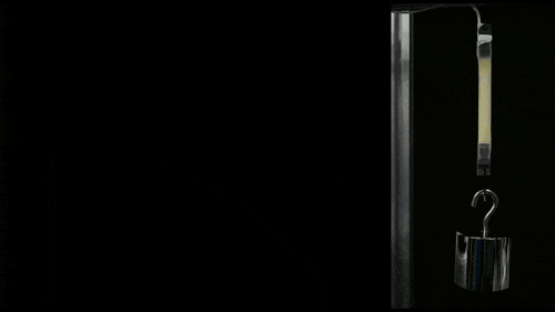  SA重磅！北大机器智能实验室这条机器鱼会变身，0.5秒从鳗鱼变金枪鱼(图7)