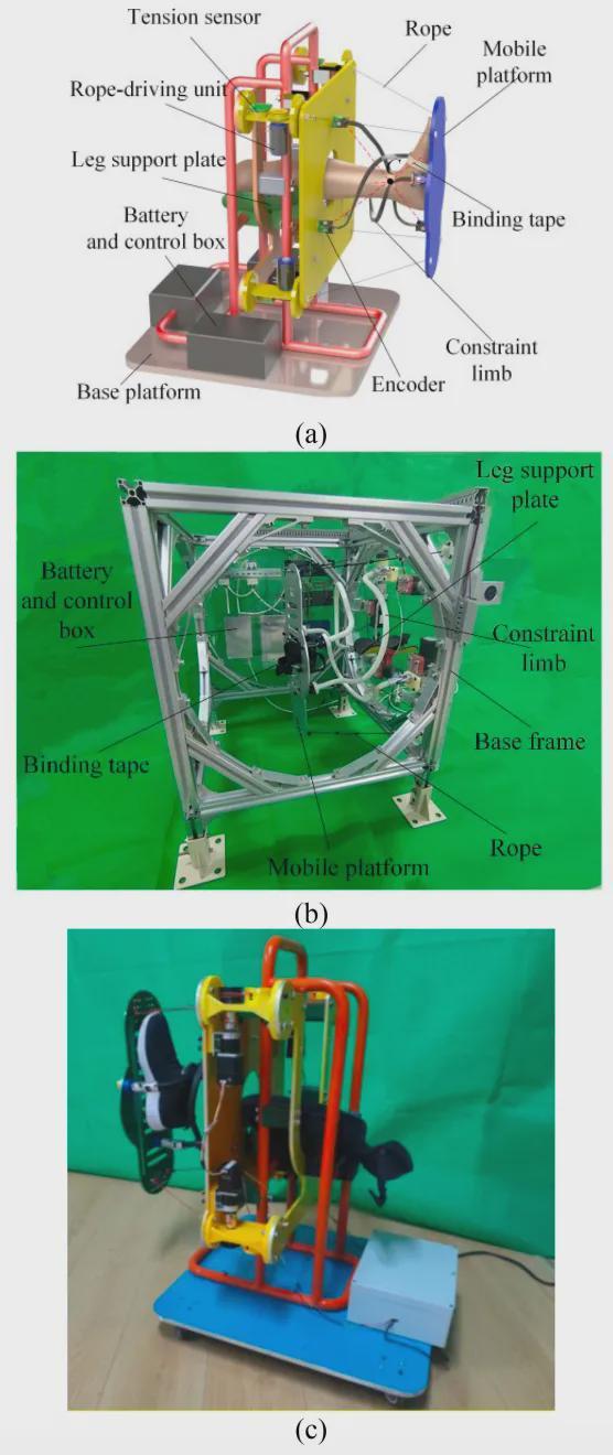 踝关节康复革命！仿生绳索机器人如何精准复刻人体螺旋密码？(图4)