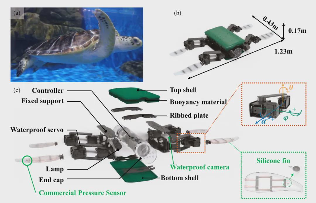 登顶T-RO！清华仿生“海龟”机器人，实现水陆动态环境全自主适应(图3)