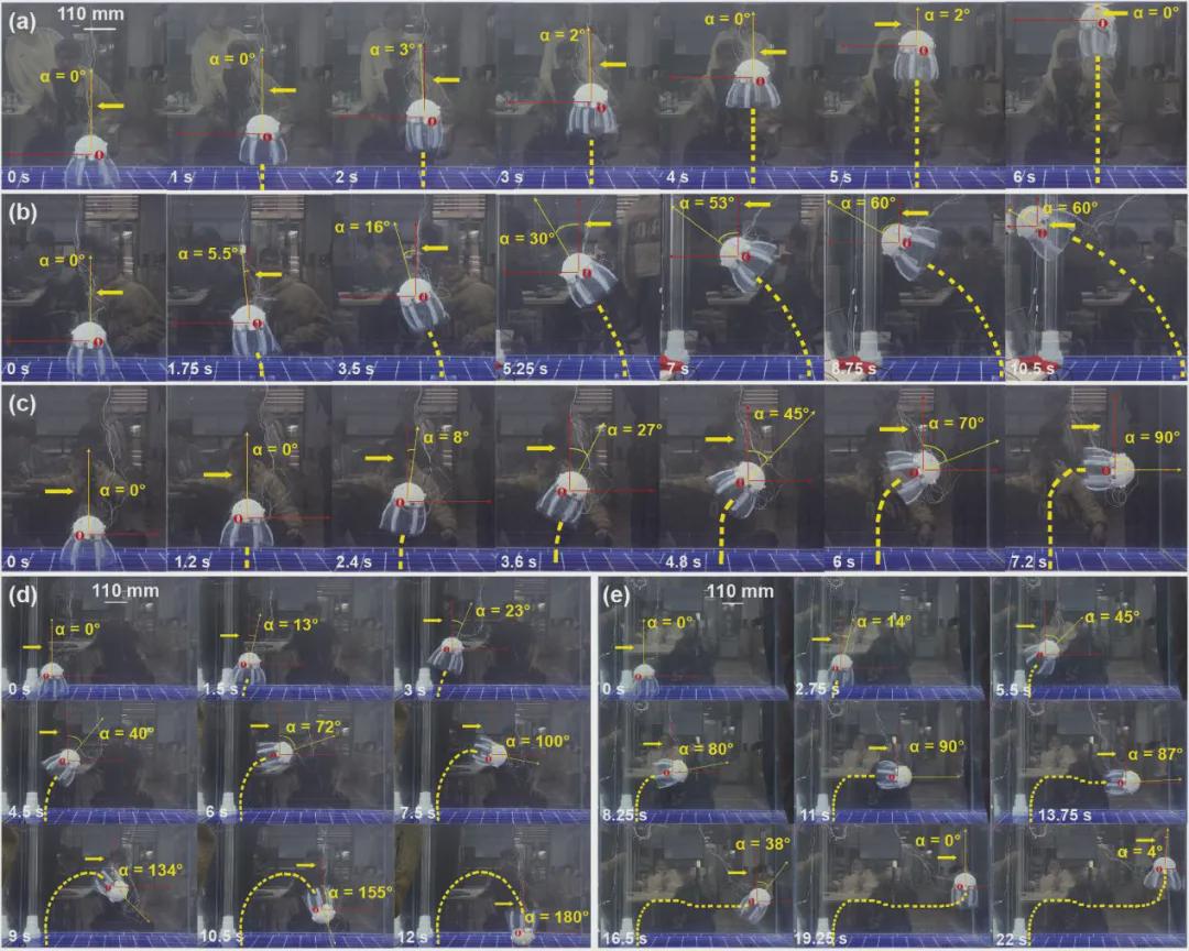 IJRR发表！仿生机器人新突破，中国团队研发出一款轻量化“仿生水母机器人”，仅重287克(图7)
