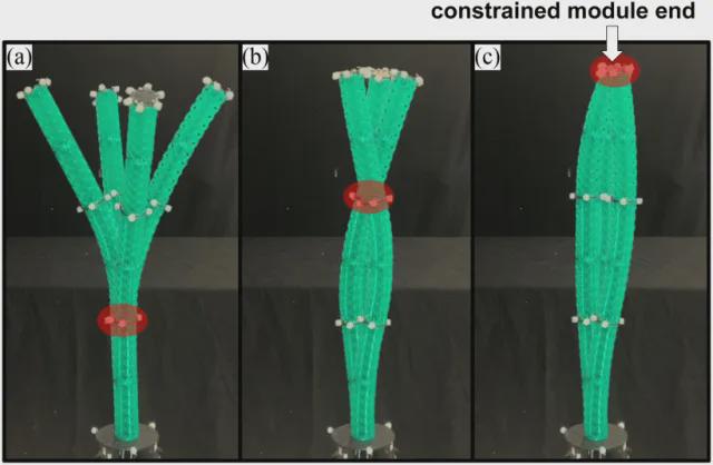 软体机械臂也能“精准操控”？新型神经网络控制策略破局！(图5)
