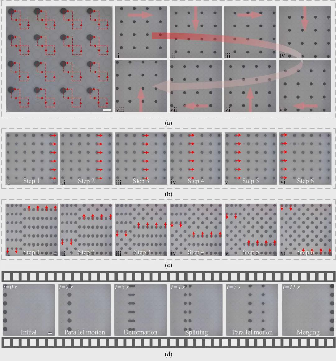 T-RO收录！清华团队可编程平台实现磁流体液滴机器人微尺度 “群体智能” 突破(图9)