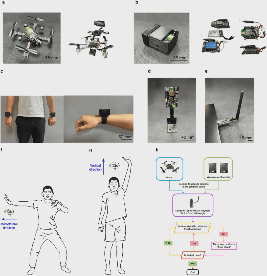 起猛了！台湾老人跟着无人机做八段锦，准确率还爆表(图2)