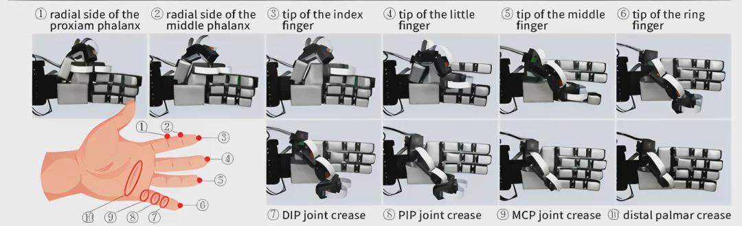 17视触觉传感器+70%表面触觉覆盖！北大×北通院《自然·机器智能》发表F-TAC Hand，提供全新灵巧手思路！(图14)
