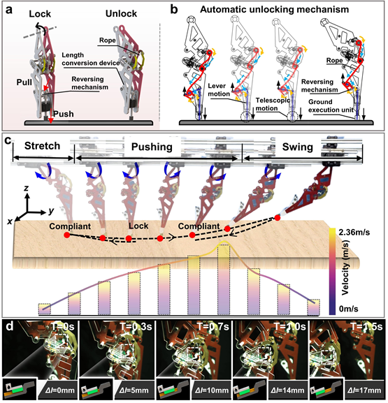  摆脱关节电机依赖！长春工业大学研究团队提出新型仿生腿式机器人，实现无电机膝关节切换！(图4)