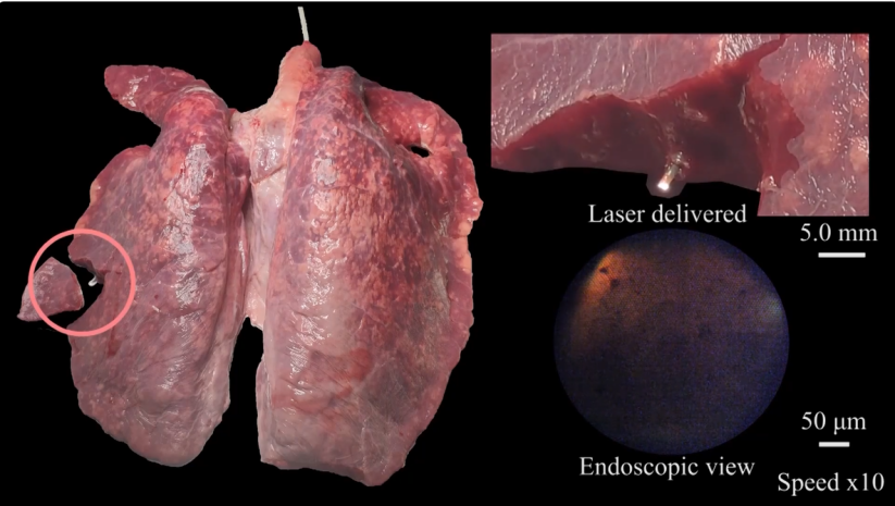  IEEE TRO发表！揭秘模块化轴向充磁连续体机器人的设计与控制策略！(图1)