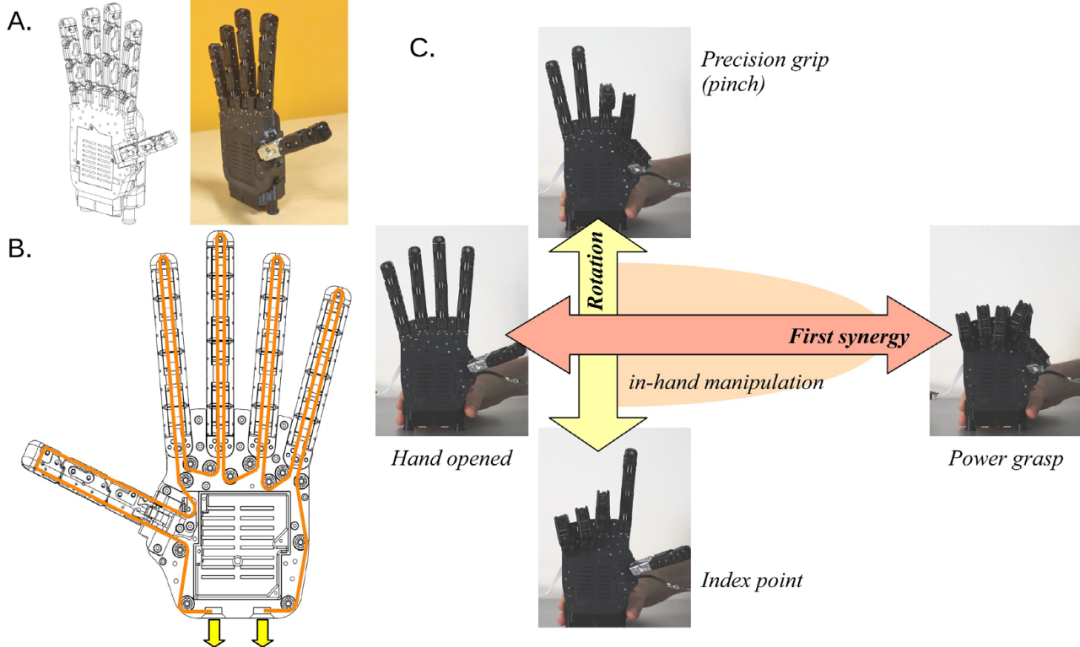  ​Science Robotics新成果 | 多国团队联合打造自然仿生假肢接口(图3)