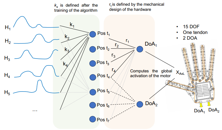  ​Science Robotics新成果 | 多国团队联合打造自然仿生假肢接口(图6)