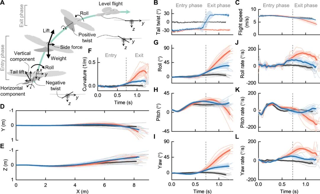 Science Robotics发表！洛桑联邦理工学院研究团队推出羽毛无人机LisRaptor，实现翅膀与尾翼双变形！(图7)