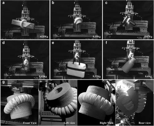 当卷王开始摸鱼！Soft Robotics刊登北工大软体机器象鼻灵活卷走各种物品(图13)