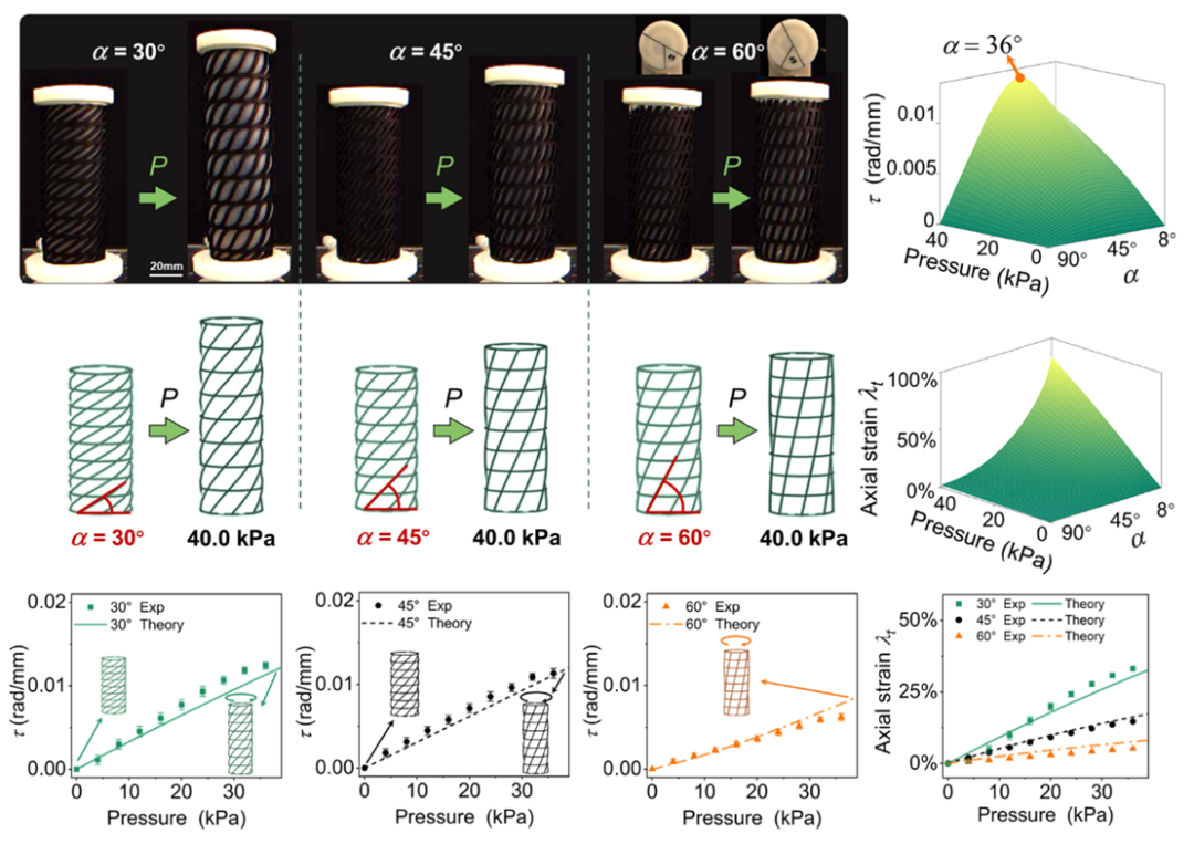 《IEEE Transactions on Robotics》论文：基于网格增强的气动软体机器人建模与设计(图4)