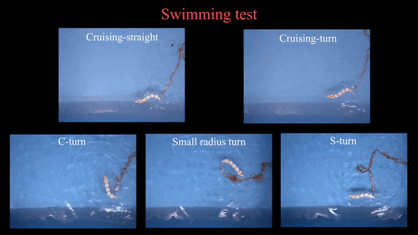 华南理工团队发布可指导仿生机器鱼步态设计的多模态统一运动学模型(图8)