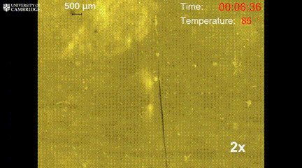 突破传统软体机器人痛点！剑桥大学超强“自愈合抓手”问世，还能回收利用 ！(图14)