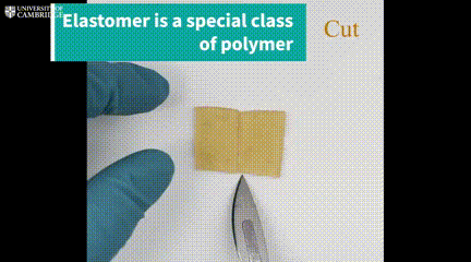 突破传统软体机器人痛点！剑桥大学超强“自愈合抓手”问世，还能回收利用 ！(图15)