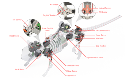 Science Robotics最新研究：柔性脊柱全面提升老鼠机器人的运动能力！(图4)