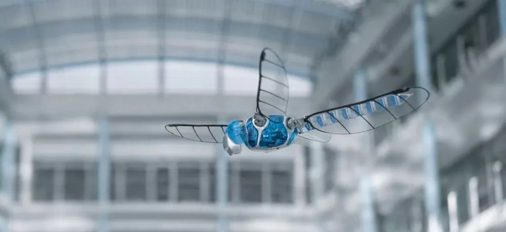 仿生蜻蜓机器人：从自然中获取灵感(图1)