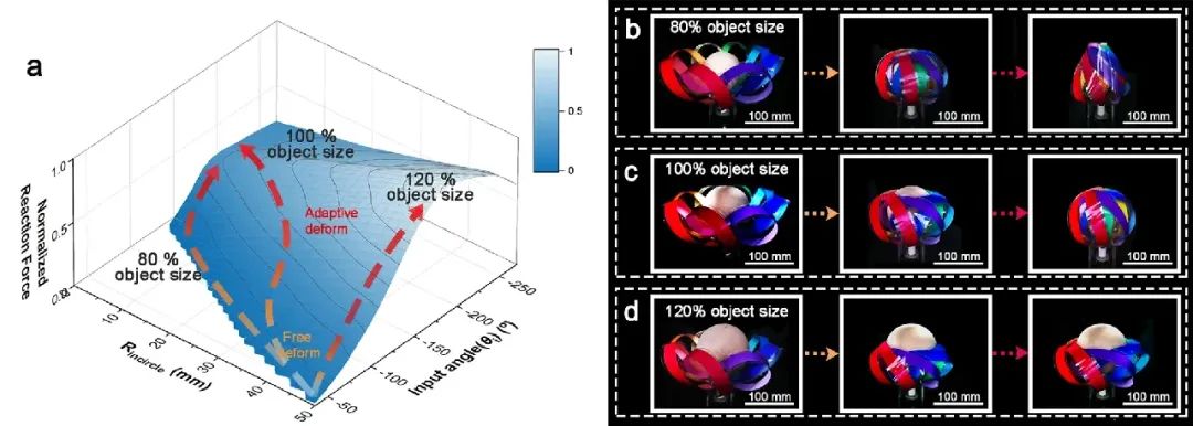 活久见 130克软质抓手是如何做到抓举100kg重物的？(图4)