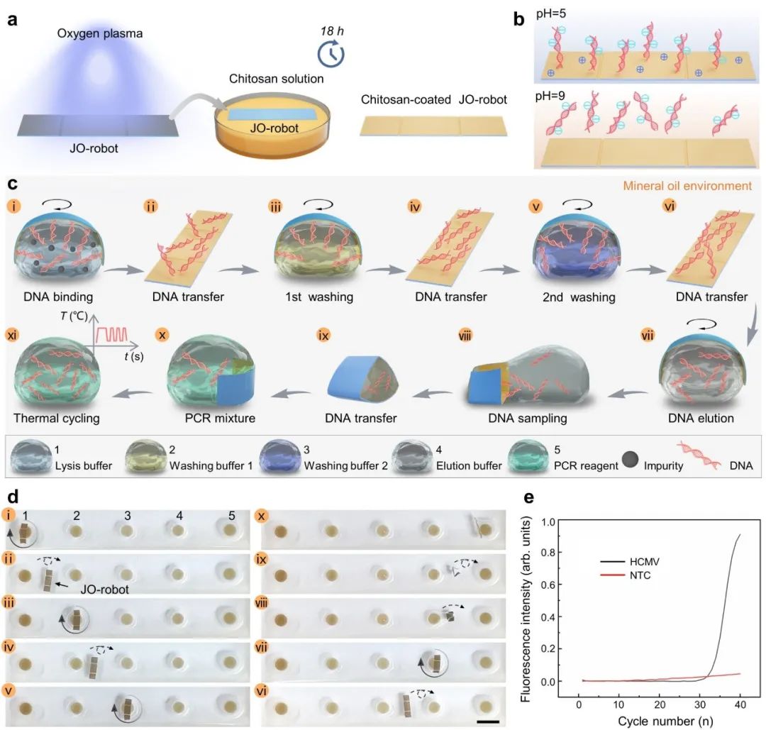 中科大“双面神折纸”机器人登Nature子刊!(图6)