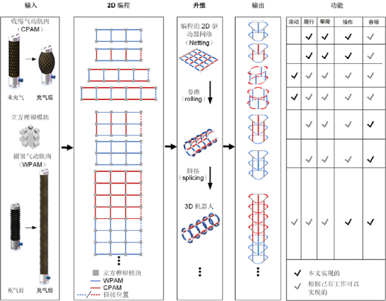哈工大柔性机器人登《Soft Robotics》，基于人工肌肉的可堆叠‘多面手’！(图2)