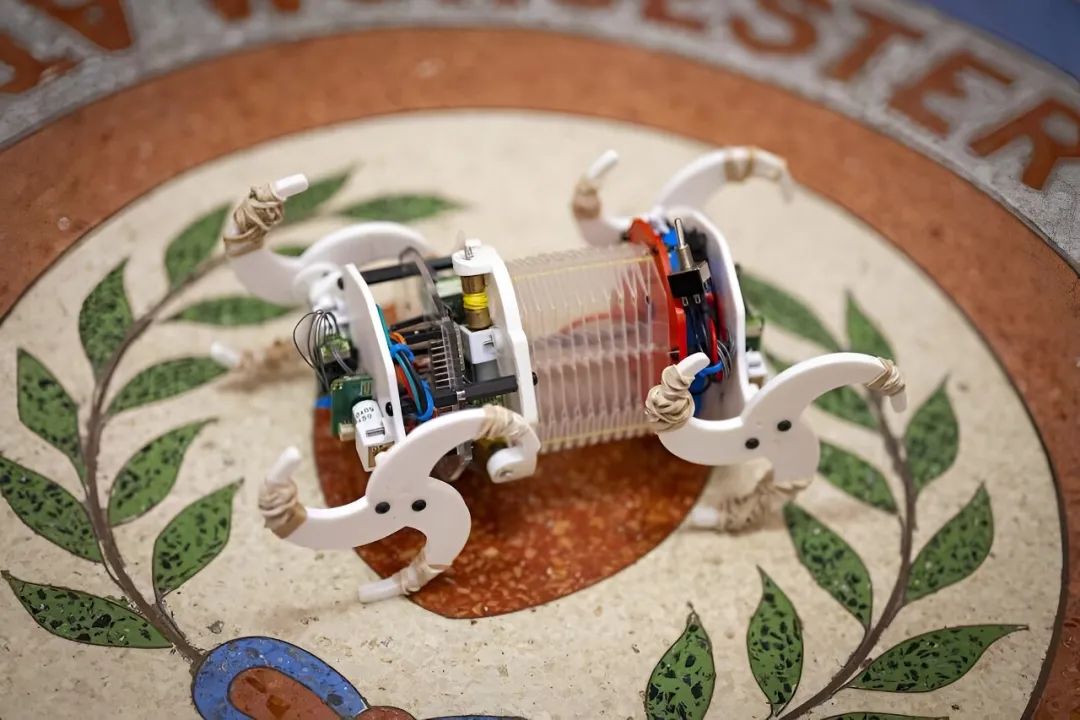 美国最新研究开发蜥蜴式软体机器人，协助完成管道特种任务(图2)