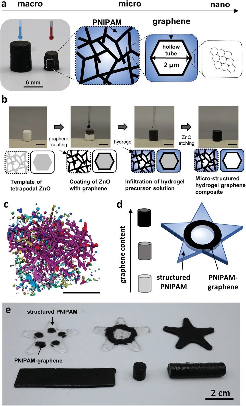 基尔大学研发水凝胶新材料，形似人类肌肉，可实现短时间内受控方式扩张与收缩(图2)