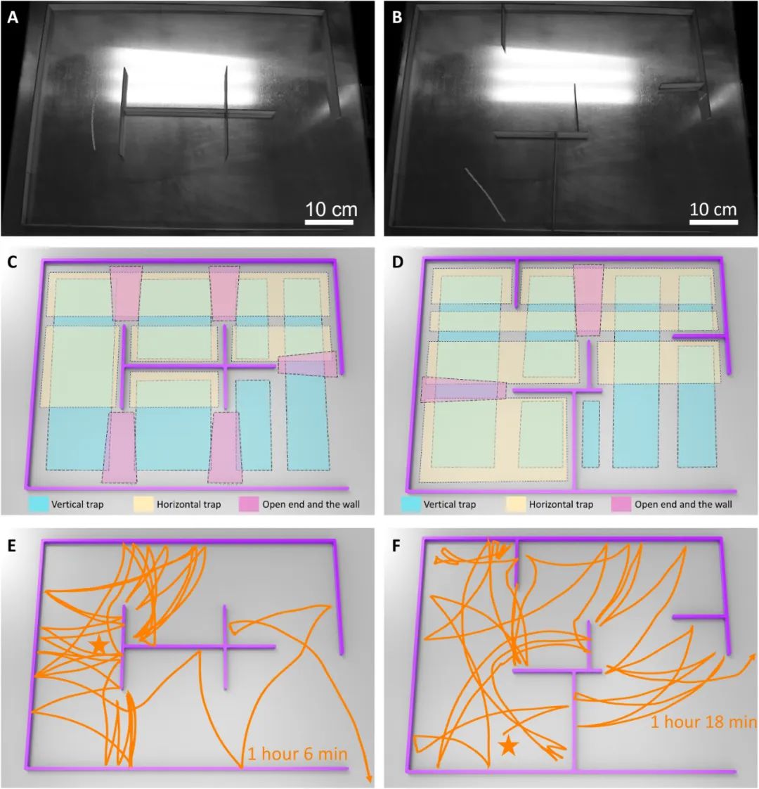 《科学进展》期刊：无脑”机器人穿越迷宫是怎样实现的？(图5)