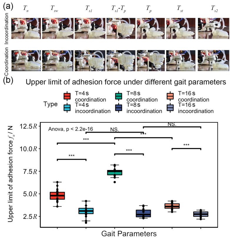 南航等高校团队研发新型壁虎机器人中枢神经控制策略(图9)