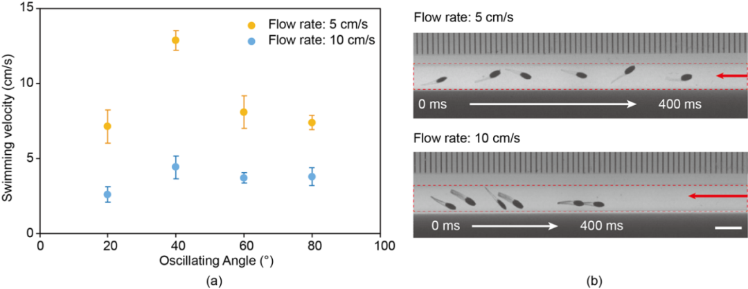 一场属于机器鱼的“奇幻漂流”，可在细小血管中“逆流而上”！(图9)