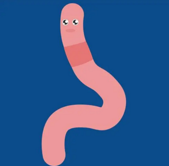 机器人会“遁地术”？意大利理工学院蚯蚓仿生机器人可用于探索和救援(图3)