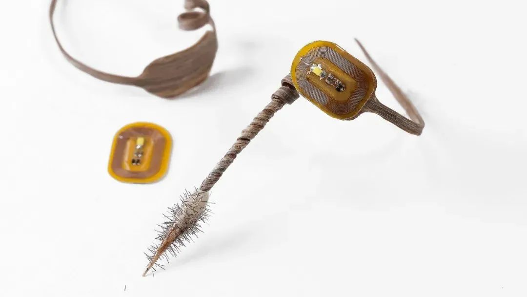 四校合作！Nature封面：会钻地的木材机器人，空投人造种子，助力智慧播种！(图8)