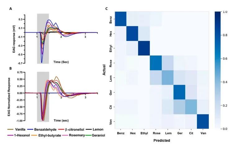 “有嗅觉”的机器人能闻出8种气味，灵敏度比普通设备高10000倍！(图6)