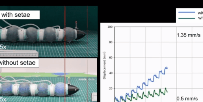 机器人会“遁地术”？意大利理工学院蚯蚓仿生机器人可用于探索和救援(图8)