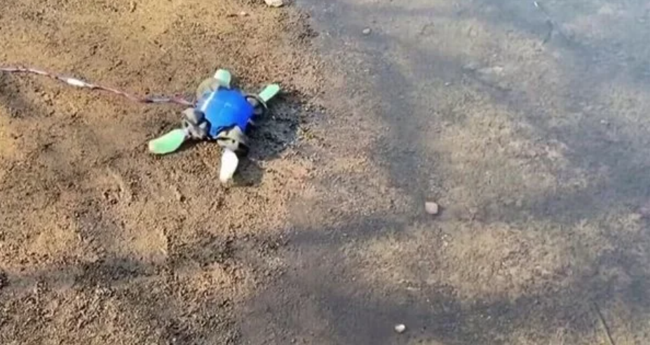 美国科学家成功研发水陆两栖机器人(图1)