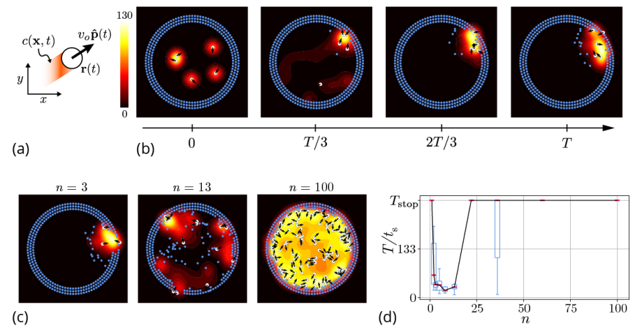哈佛大学研发协同“越狱”的蚂蚁机器人，可应用于解决其他复杂问题(图5)