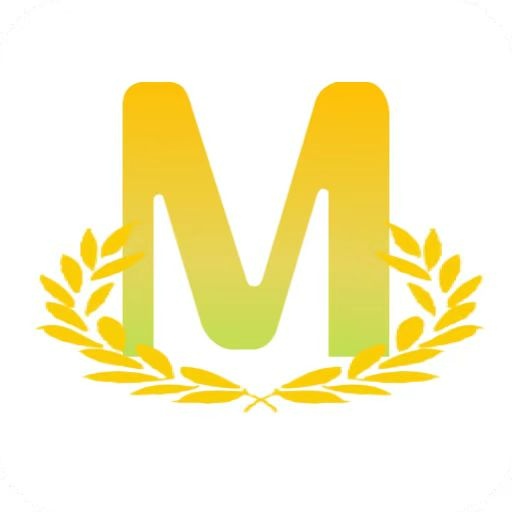 陕西麦子智能科技有限公